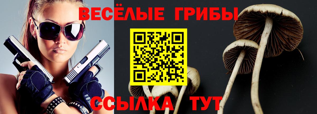 NBOMe  Вход с VPN  МЕФ   ГАШ  Кушва  ЭКСТАЗИ  Каннабис 